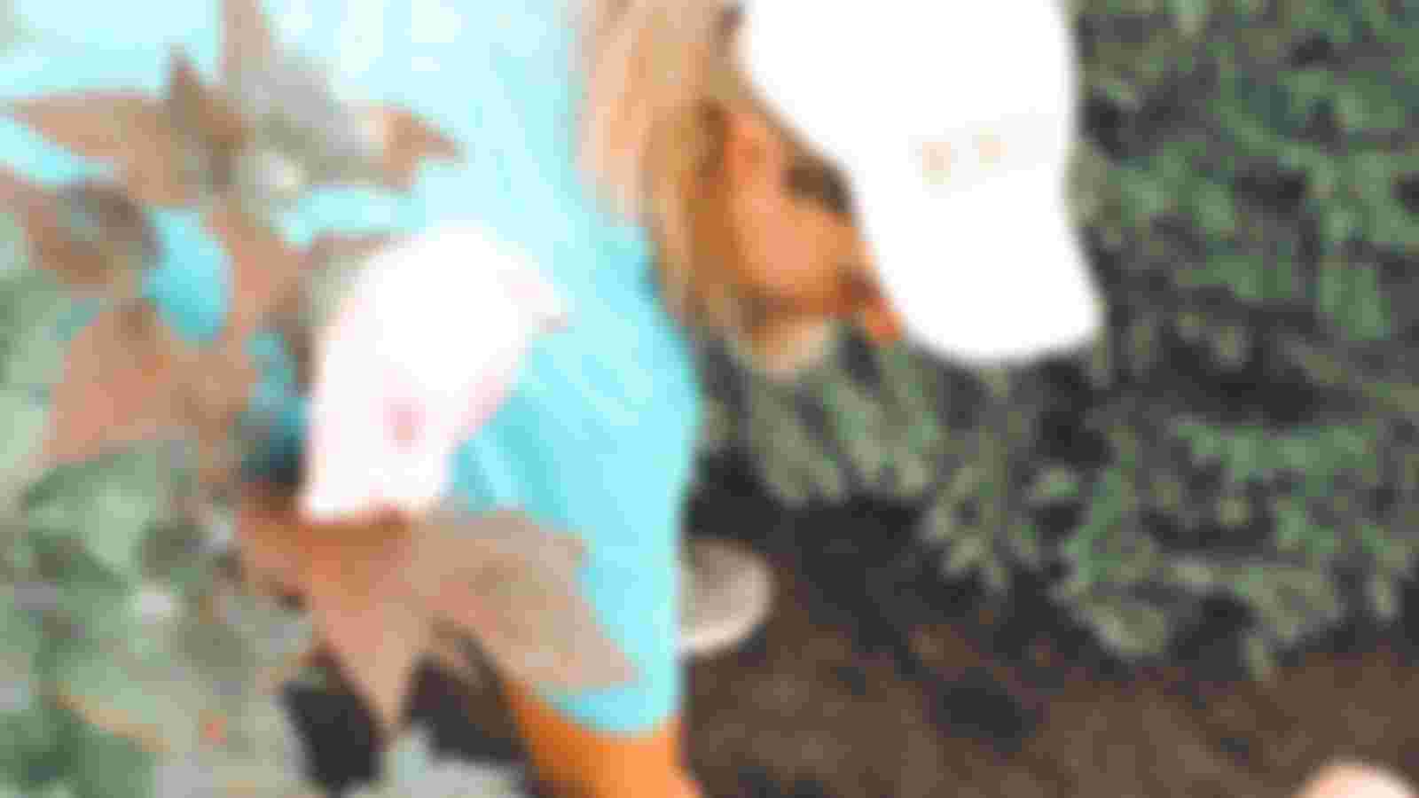 Volunteer garden management and maintenance