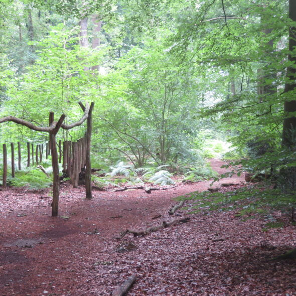 Help mee op de natuurwerkdag!