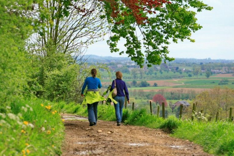 Walking volunteers wanted to guide young elderly people with memory problems