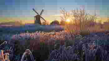 Volunteer wanted for Thursday evening