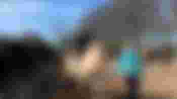 Vrijwilliger gezocht: begeleid Marnix naar paardrijles! 🐎