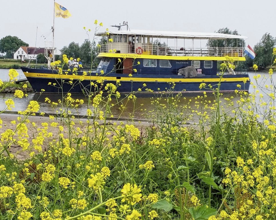 Hostess or hostess at the Blue Beaver