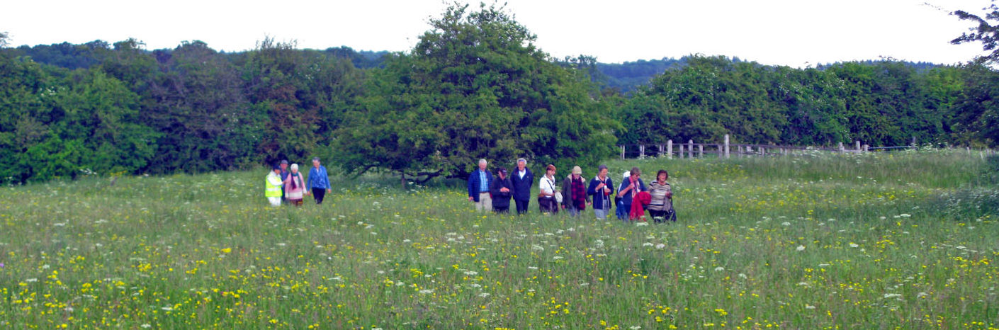 Adviseur Marketing voor De Blauwe Bever