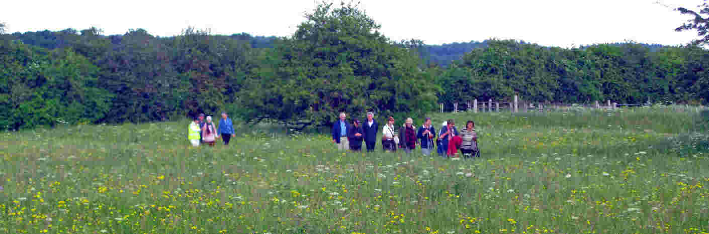 Natuurgids op de Blauwe Bever