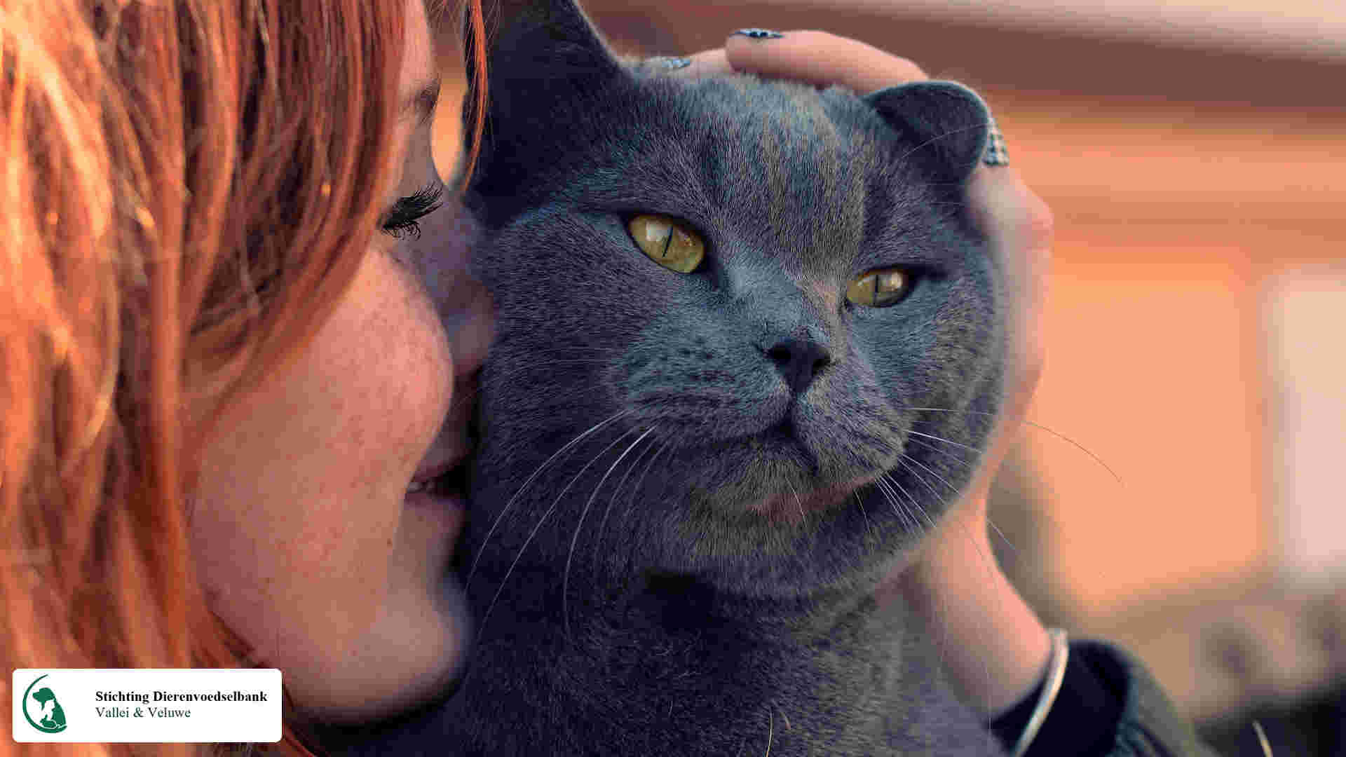 Volunteer distribution location