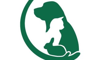 Bestuursondersteuner