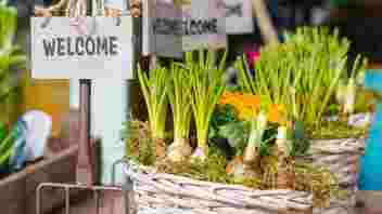 werven van vrijwilligers