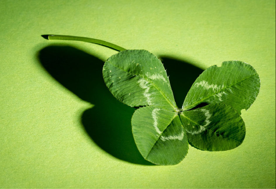 Workshop Meer geluk (voor 55+)