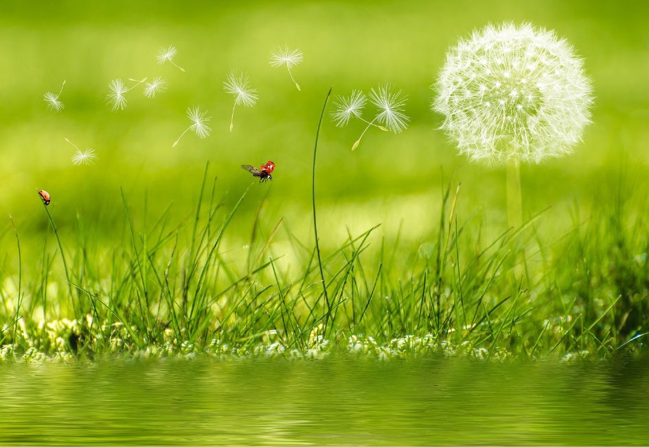  Workshop Verder na verlies