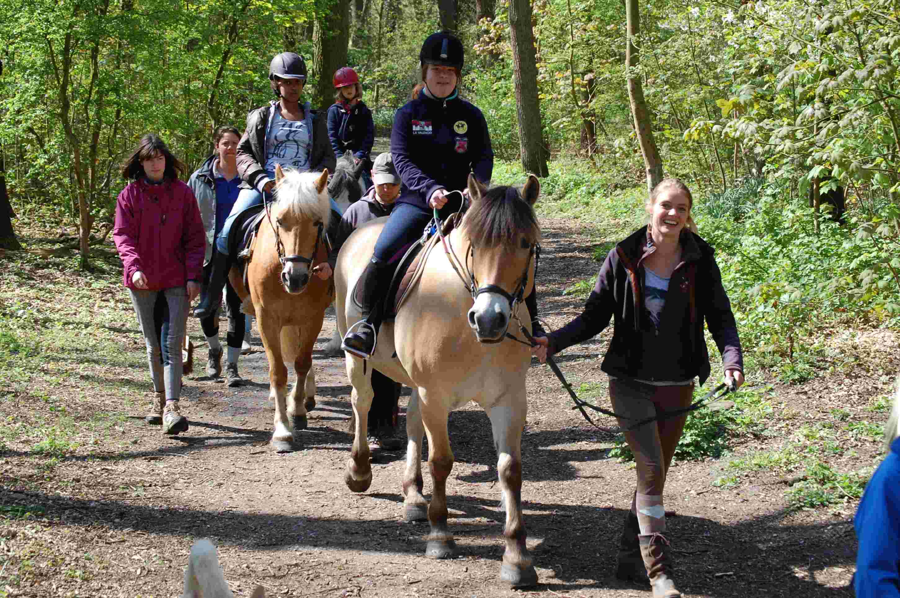 Begeleiden van paardrijles aan ruiters met een beperking