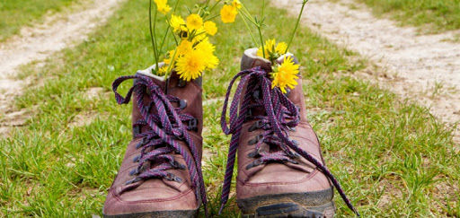 Locatie Houtwijk - Trek jij de wandelschoenen aan?