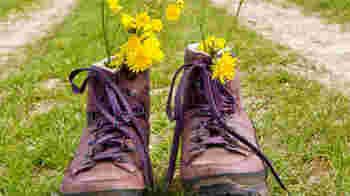 Locatie Houtwijk - Trek jij de wandelschoenen aan?