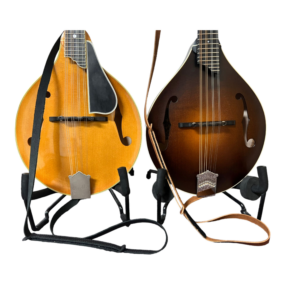 Locatie Op de Laan: Mandolinespeler/leraar gezocht!