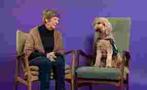 Locatie Houtwijk - Contacthond voor verpleeghuis Houtwijk gezocht!