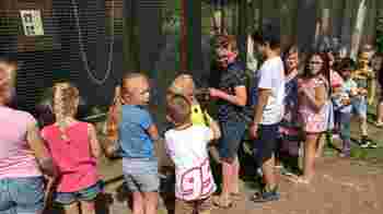 Vrijwillige leerkrachten gezocht voor Educatie door middel van boerderijlessen!
