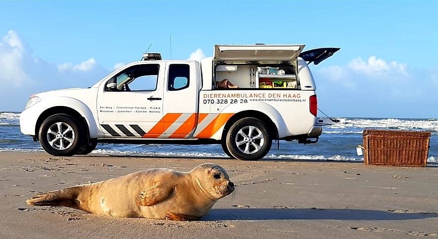 Gezocht: Chauffeur dappere dierenredder