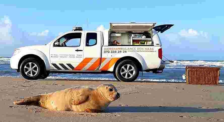 Gezocht: Dappere dierenredder