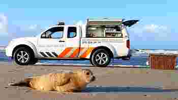 Gezocht: Chauffeur dappere dierenredder