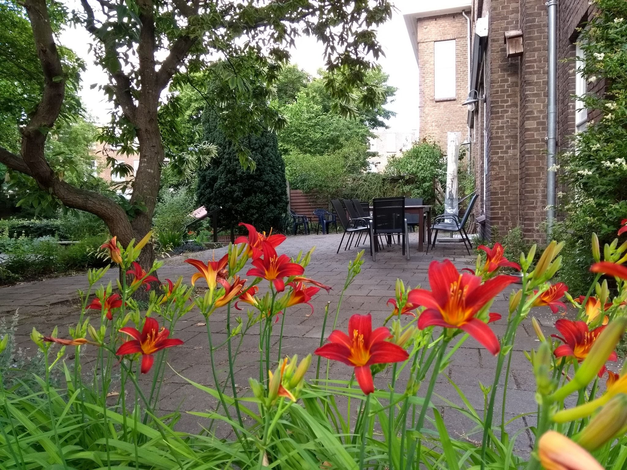 Wijkberaad Bloemenbuurt:  Wil jij je talent en ervaring inzetten voor je buurt?
