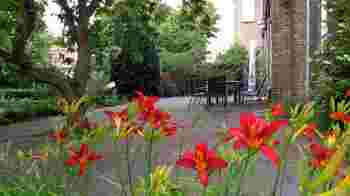 Wijkberaad Bloemenbuurt: Wil jij je talent en ervaring inzetten voor je buurt?