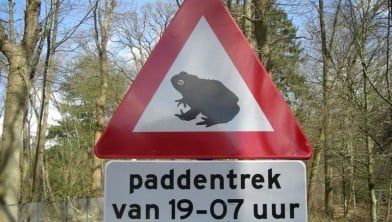 Barrier volunteer evening (7:00 PM)