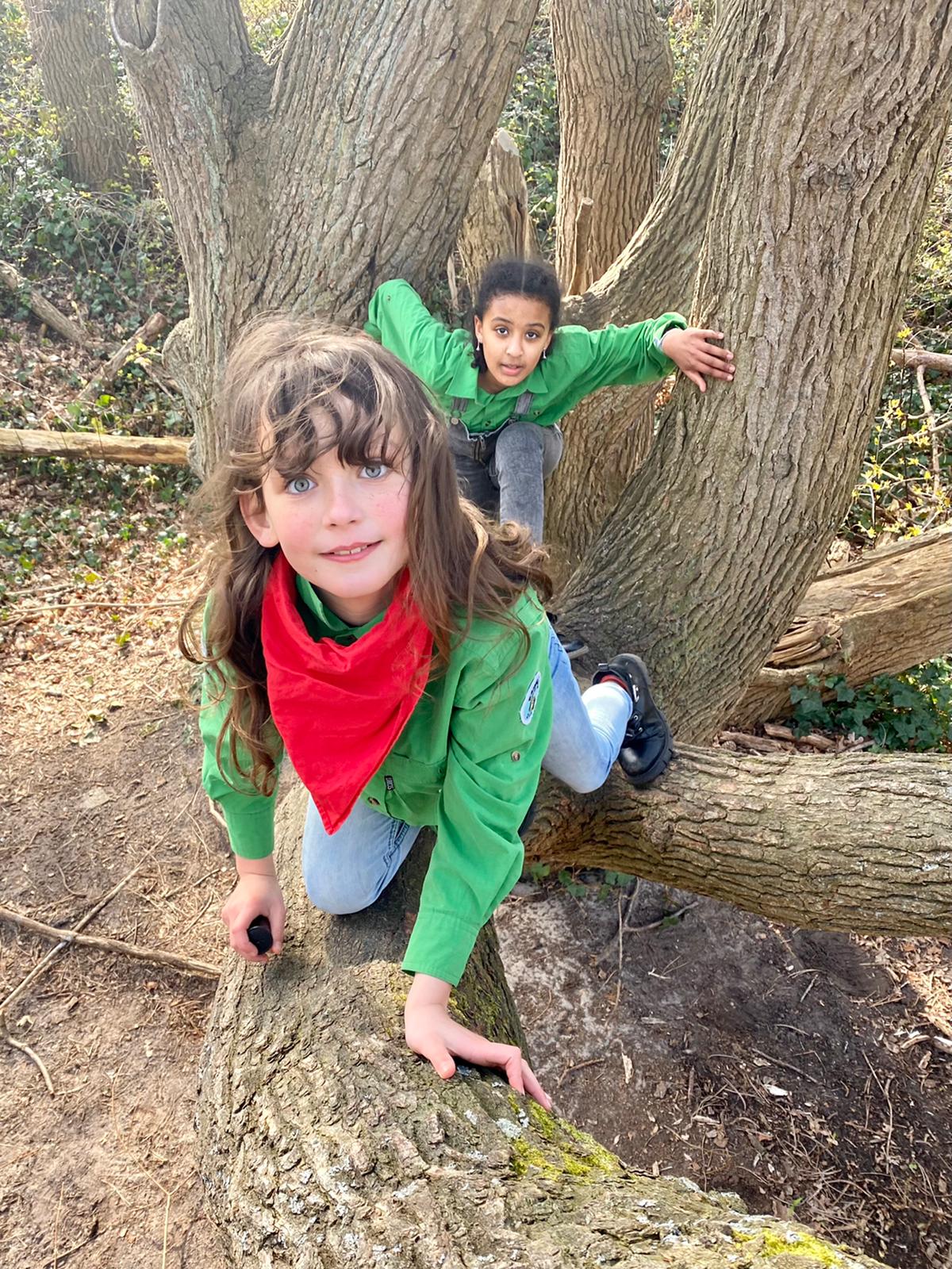 Kinderactiviteiten begeleiden bij Scouting Scheveningen (7 tot 11 jaar)