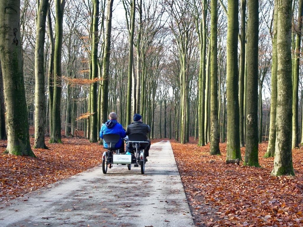 Assistentie bij allerlei ICT-gerelateerde problemen
