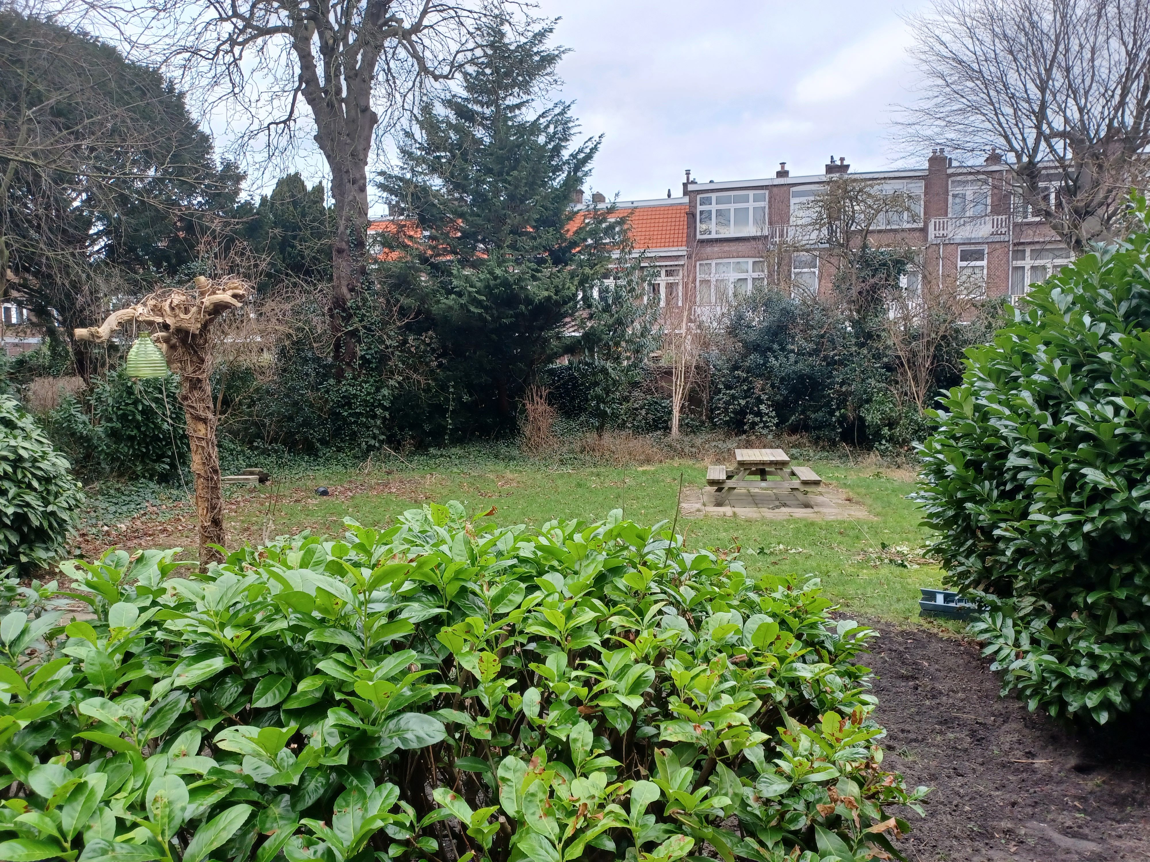 🪴 Groene vingers en een luisterend oor gezocht!