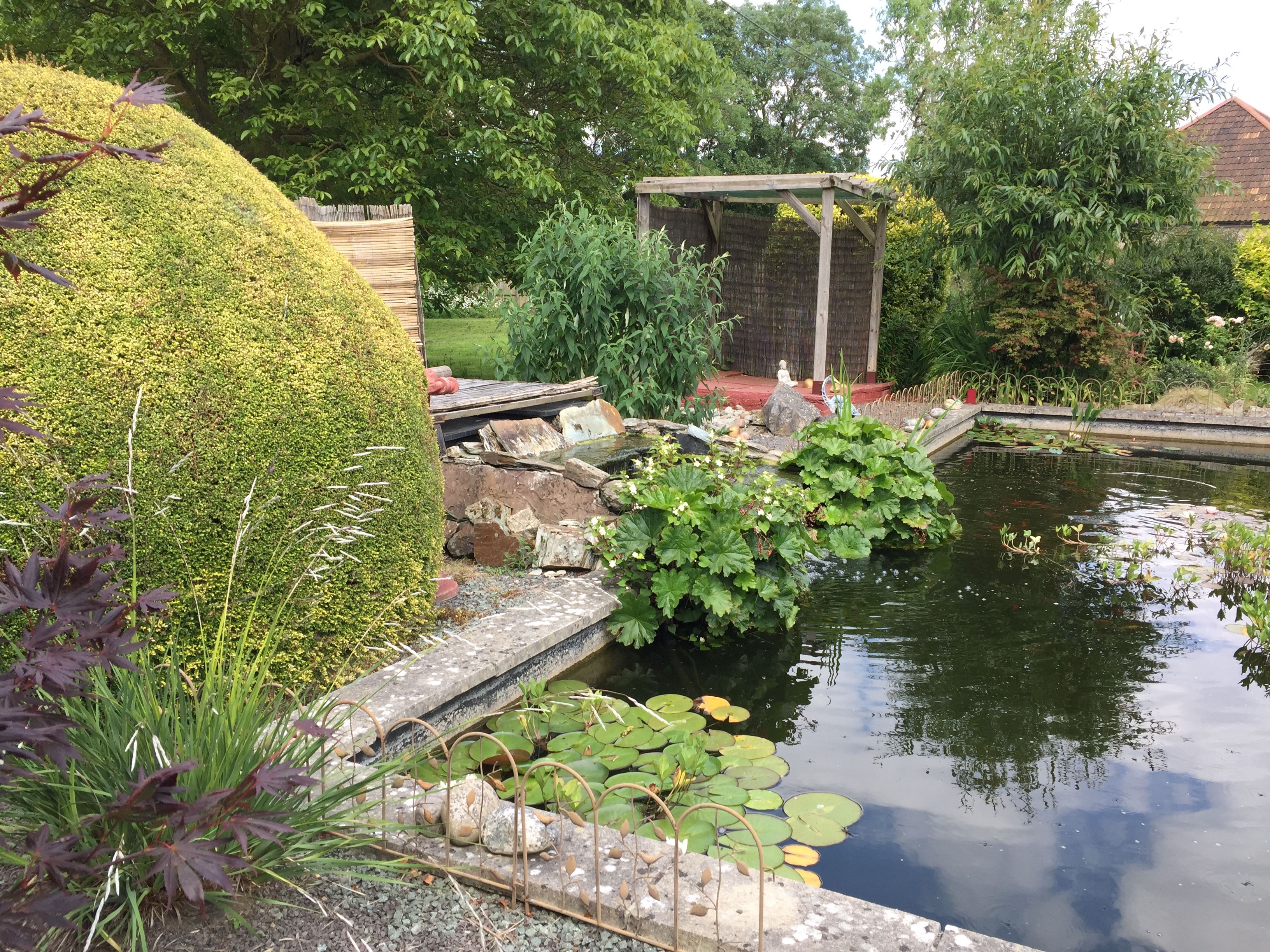 Group volunteering opportunities at a charity garden near Yeovil