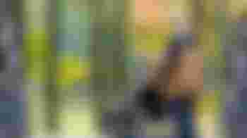 Wandelmaatje gezocht