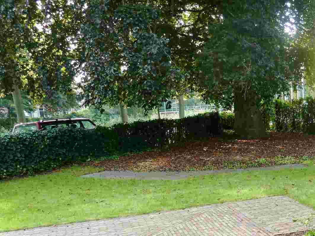 Tuinvrijwilliger voor Inloophuis Pisa