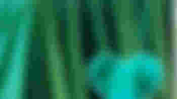 Gastheer/-vrouw bij aanmeldzuilen Isala Zwolle