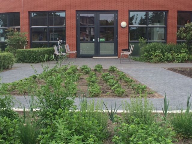  Enthousiaste vrijwilligers dagbesteding