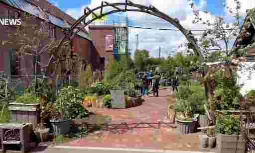 Community Garden Volunteer