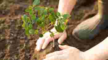 Fundraiser volunteers