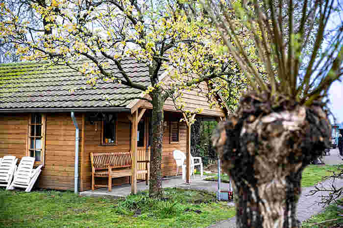 Coordination of log cabin rental