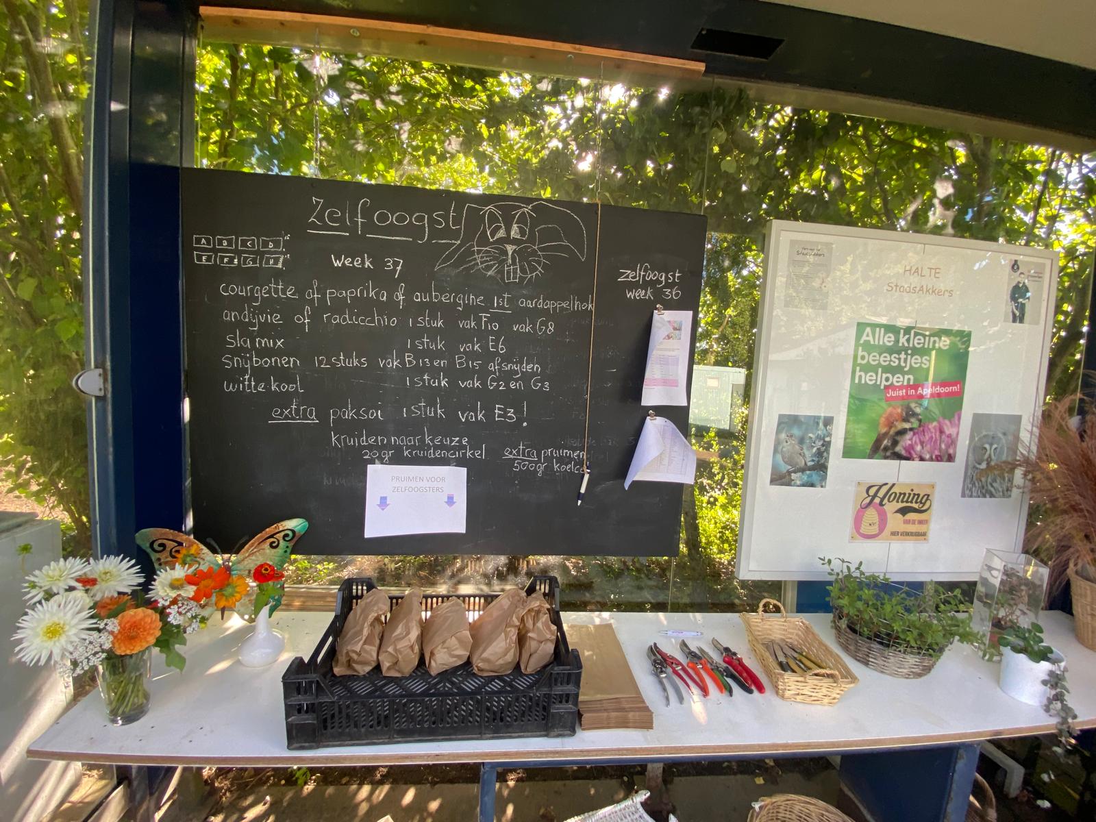 Hostess and host during self-harvesting