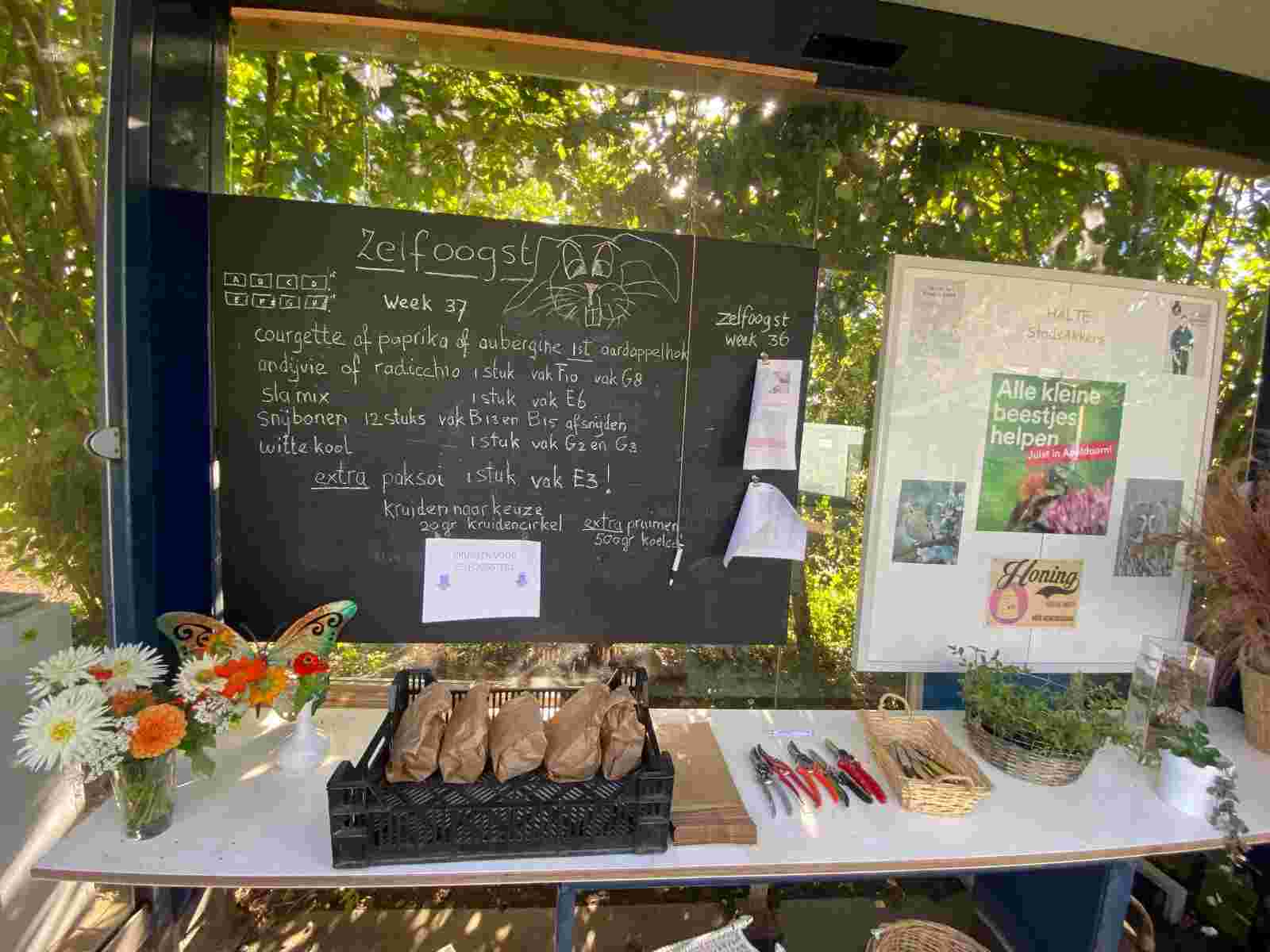 Hostess and host during self-harvesting