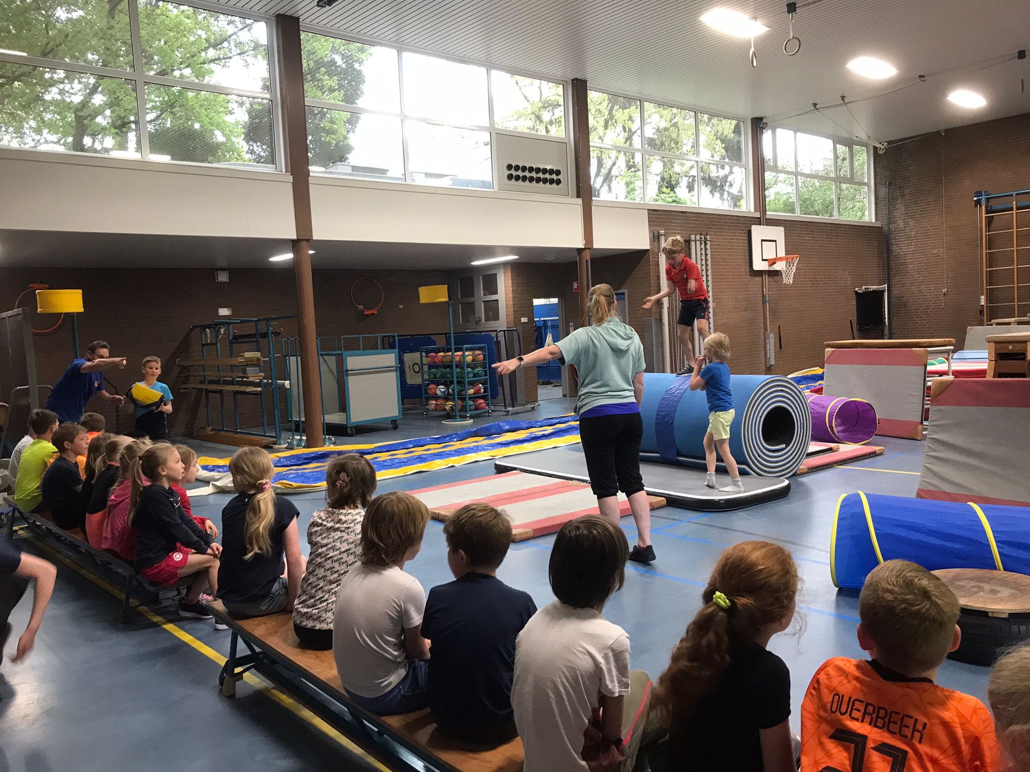 Coördinator afdeling gymnastiek