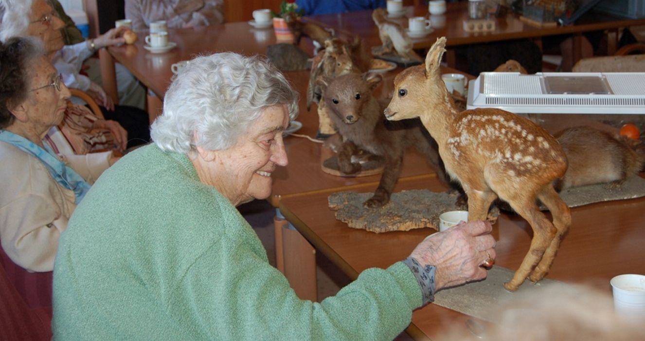 Coördinator Natuur in de Zorg