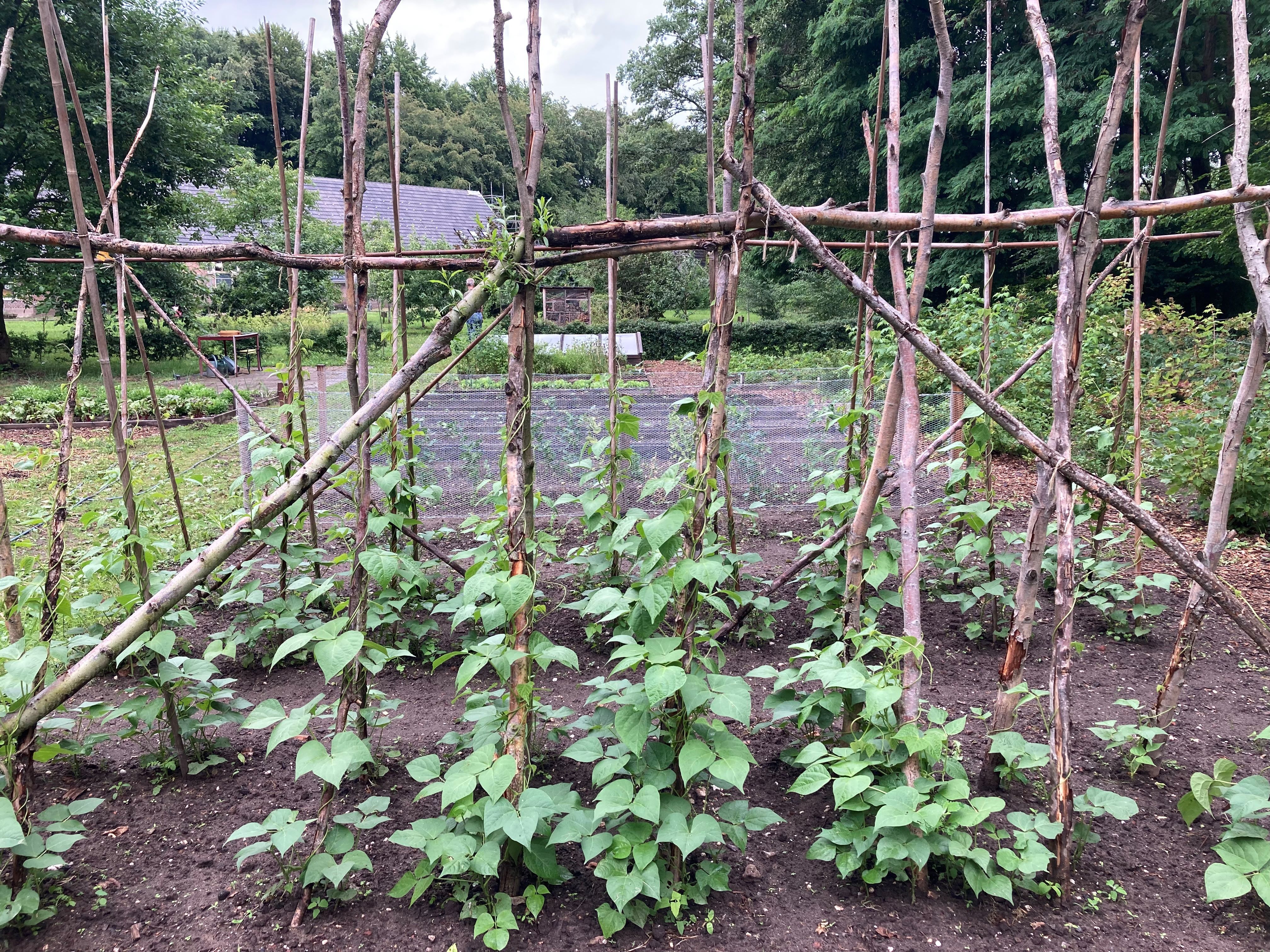 Meewerkende Coördinator Moestuin op landgoed Woudhuizen gezocht!