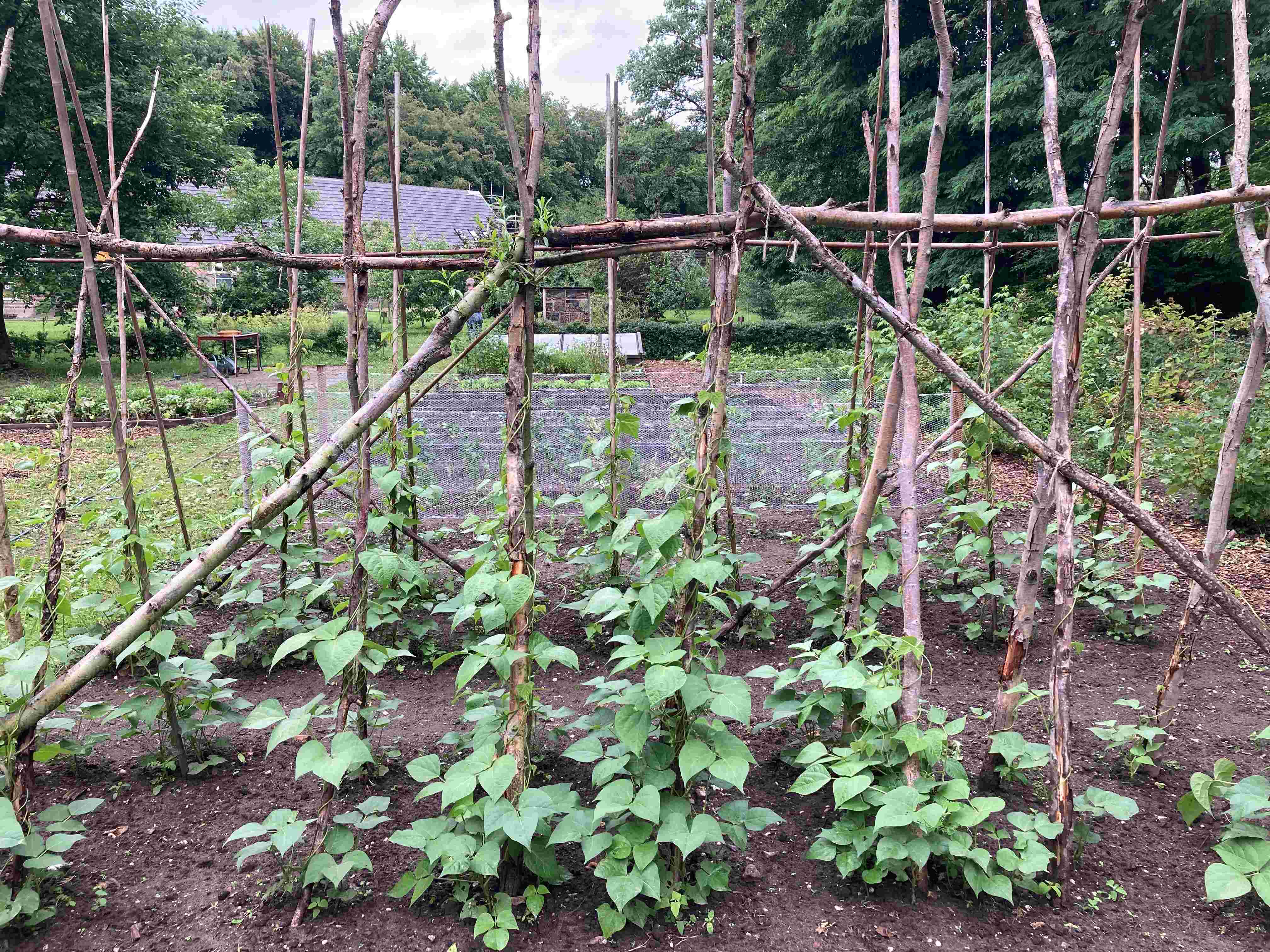 Looking for a Coordinator of the Vegetable Garden on the Woudhuizen estate!