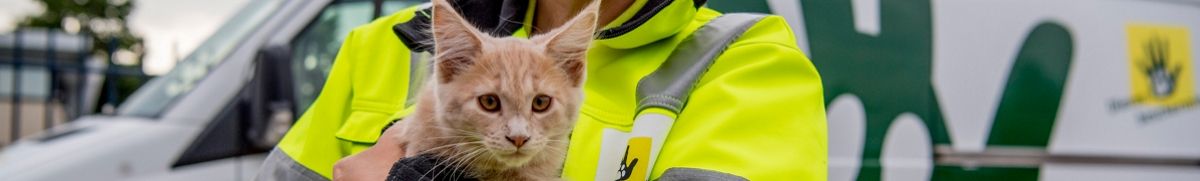  Medewerker Meldkamer Dierenambulance