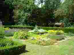 Liefde voor bloemen en planten?