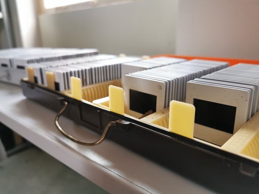 Wie stelt de historie van 's Heeren Loo op dia veilig? 