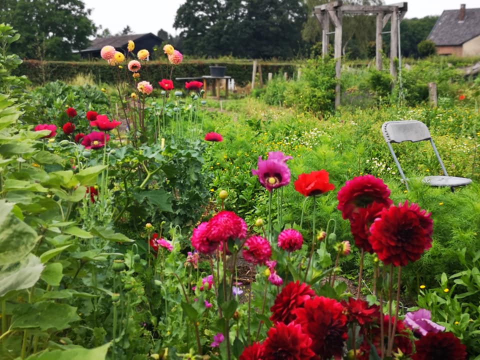 tuiniers, hulp in de moestuin