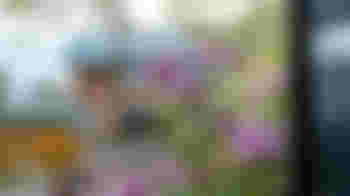 De Keuze is reuze! Diverse leuke activiteiten