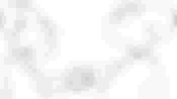 Vrijwilliger gezocht voor gezellige uitstapjes!