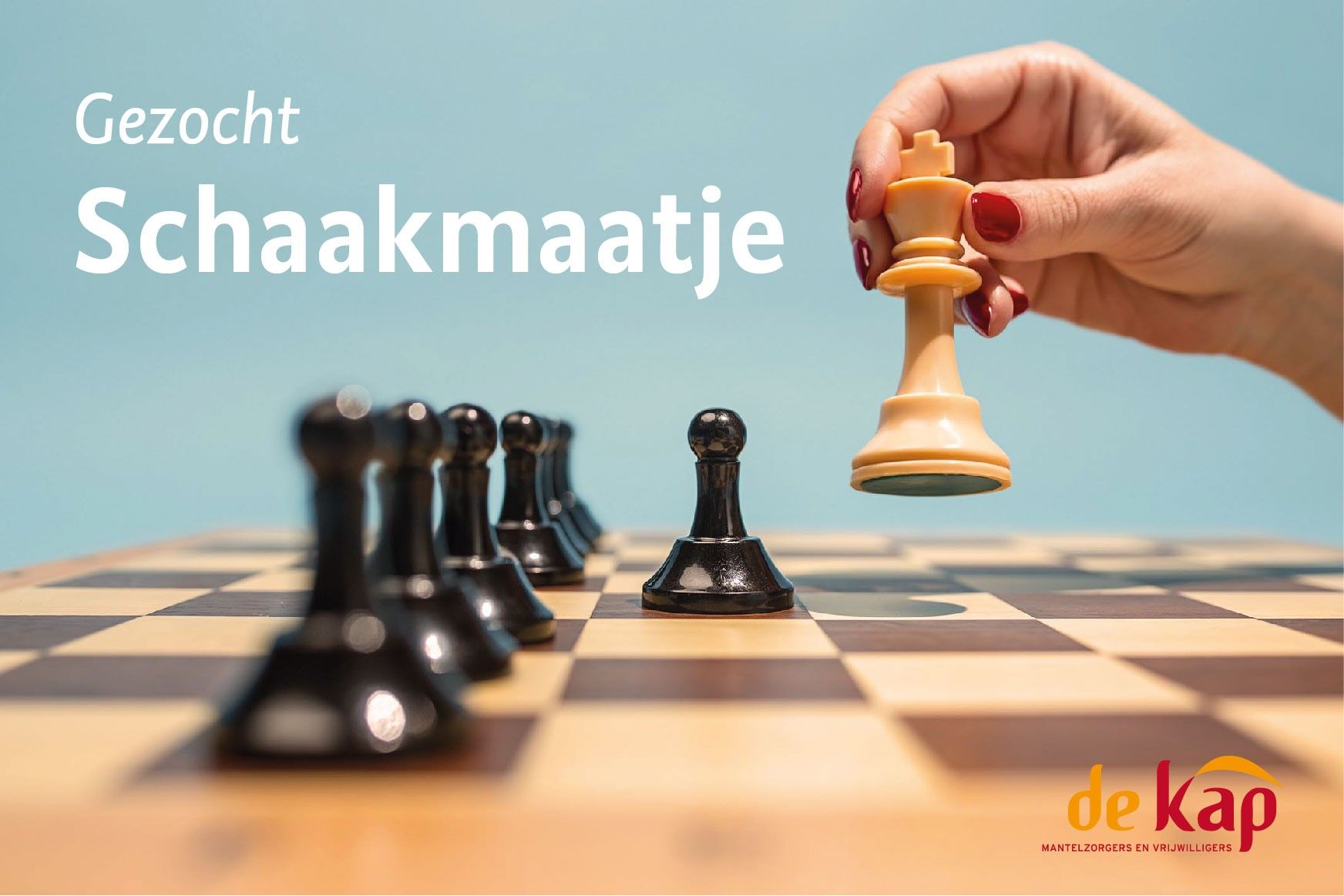 Gezocht: Schaakmaatje
