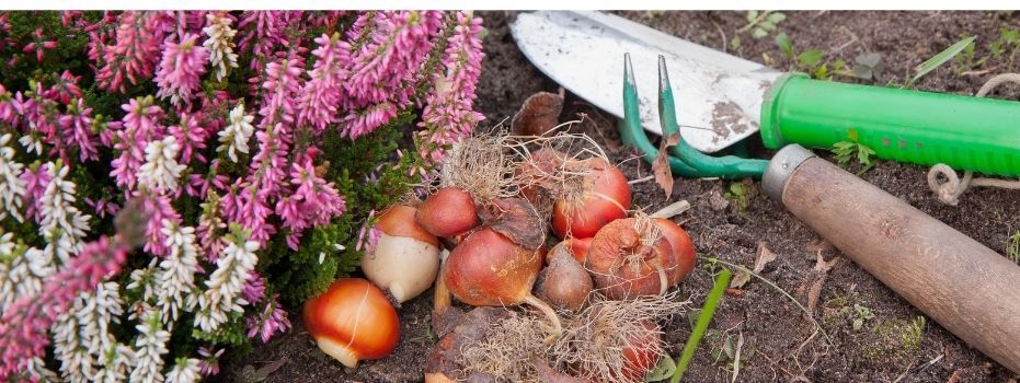 Tuinvrijwilliger bij Haags Ontmoeten Randveen